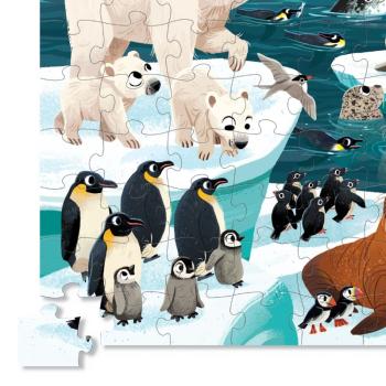 Puzzle: Arktische Tiere - 72 Teile in einer runden Box von CROCODILE CREEK